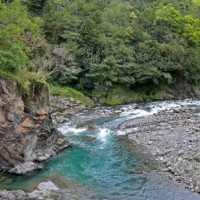 Delta Environmental Laboratories Environmental
