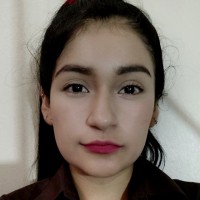 Brenda Stephanie Saccatuma Araujo