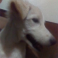 Lynsee Gumera