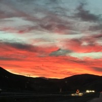 Danny Collins