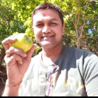 Hitesh Saliya