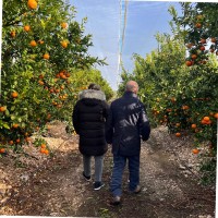 LUISA SORLI ESTELLER