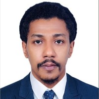 Hussein A. Kabbashi