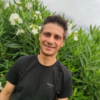 Angelo Ferro