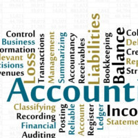 DSS Accounting Solution