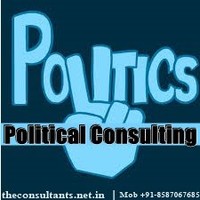 Political Consultant