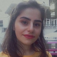 Elif Nur Satır
