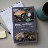 Naturelle Mushroom Check Availability