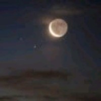 مرزوق حسن الفيفي