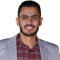 Mohamed Hosny, Msc, Pmp
