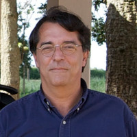 Luiz Araripe