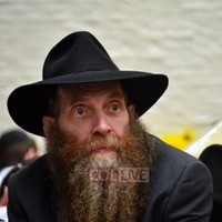 Eli Cohen