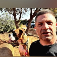 יניב נורקין
