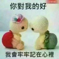 权志杨