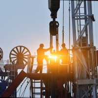 Daniela Lara Navarro