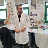 Aggelos Lemonakis Carpinelli