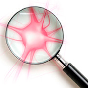 Seminario Neuromarketing