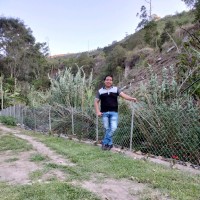 Edison Maldonado