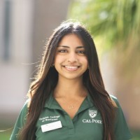 Rachna Setlur