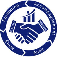 EMSC Consulting