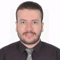 Mohamed E M Ali