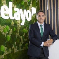 Francisco Gómez Alvado