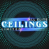 All Elite Ceilings  Limited