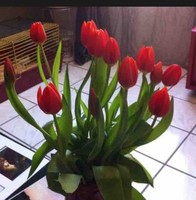 سالم الهاشمي