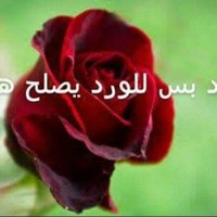 العا شق مملكة لحب