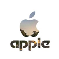 Apple Service