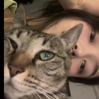 魏子晴