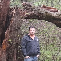 Ali Ameri