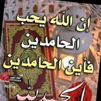 محمد الداحوس