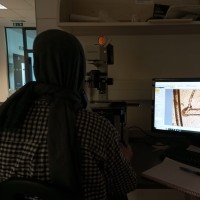 Beyza Nur Ülker
