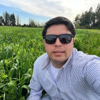 Sebastian Alejandro Ramirez Acuña