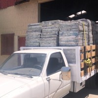 JOSE LUIS RETTIG RAMIREZ