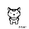 mr max