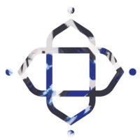 SATVA India