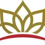 Melinda D'Agostino-Palladino