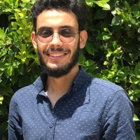 Hatem Hesham