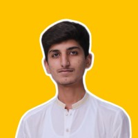 Syed Arif Hussain Shah