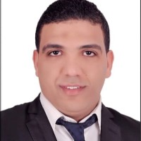 Mohsen Abdelfatah