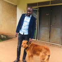 Mugogo Hamuza