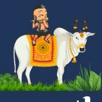 Gramathan Cold pressed oil