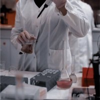 Entesar Alshehri
