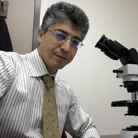 mahmood kalantari