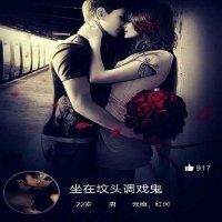 龙金发