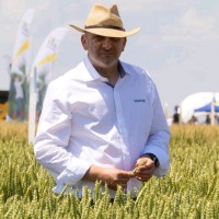 Nicolae Nica