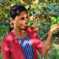 ARCHANA L
