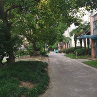 曹振国